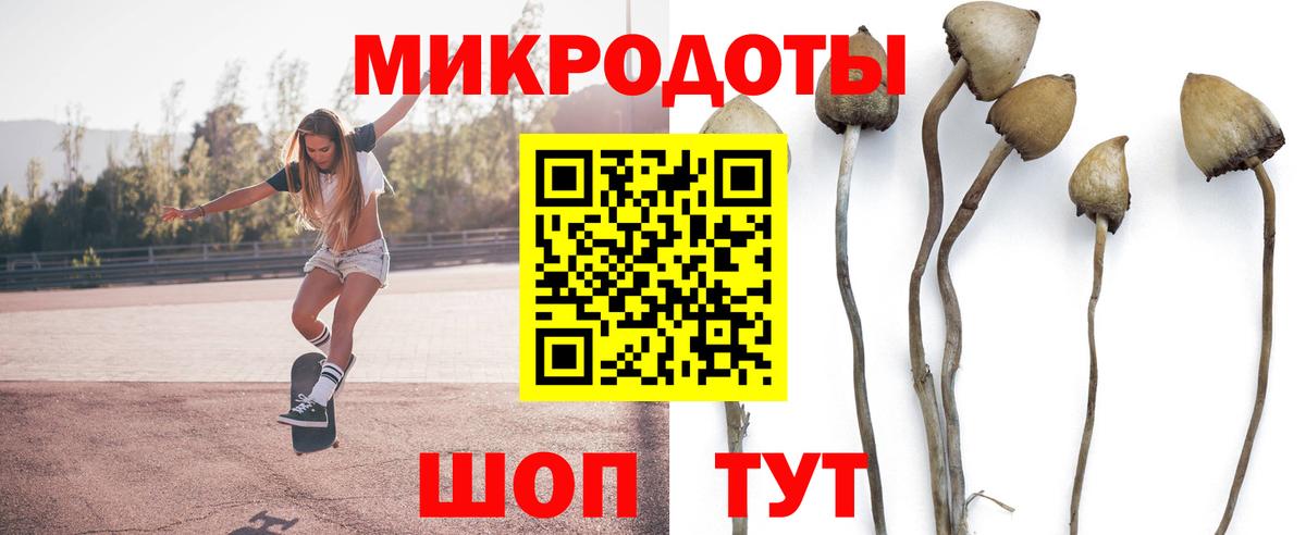 Галлюциногенные грибы мицелий Тавда